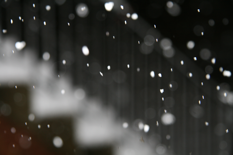 Illustration for article titled Shooting Challenge: Bokeh, Gallery 5